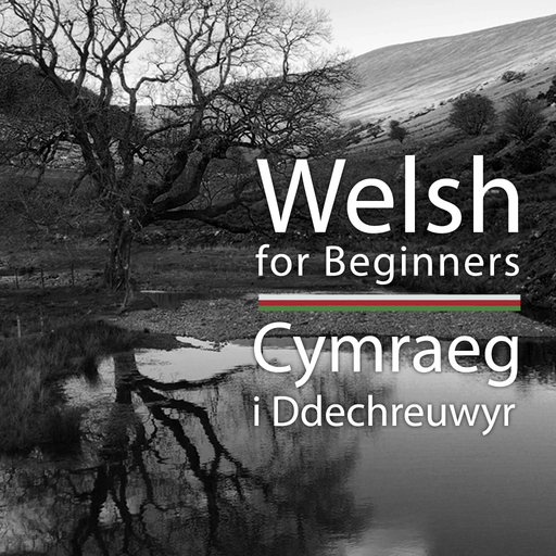 Welsh for Beginners app icon