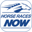 Horse Races Now icon