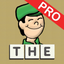 First Sight Words Professional icon