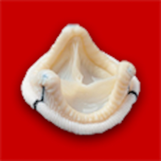 Cardio Valve app icon