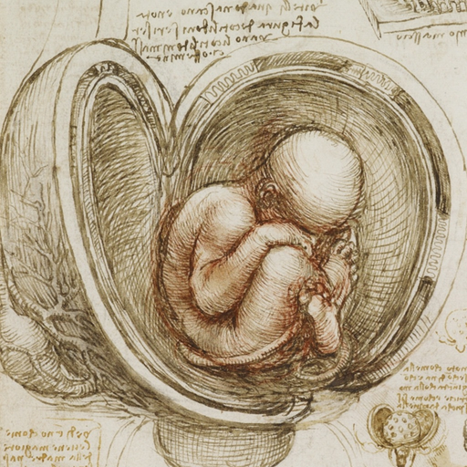 Leonardo da Vinci: Anatomy app icon