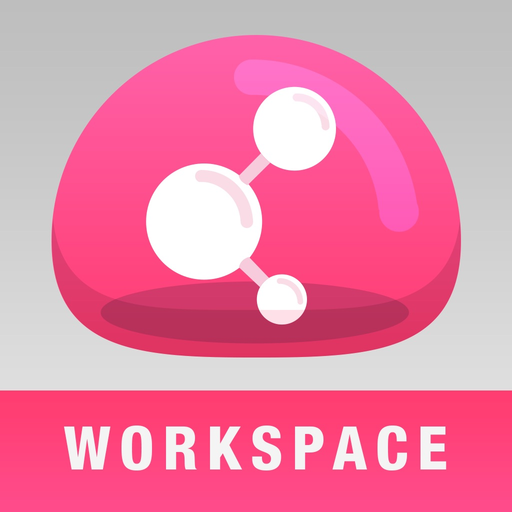 Check Point Capsule Workspace app icon