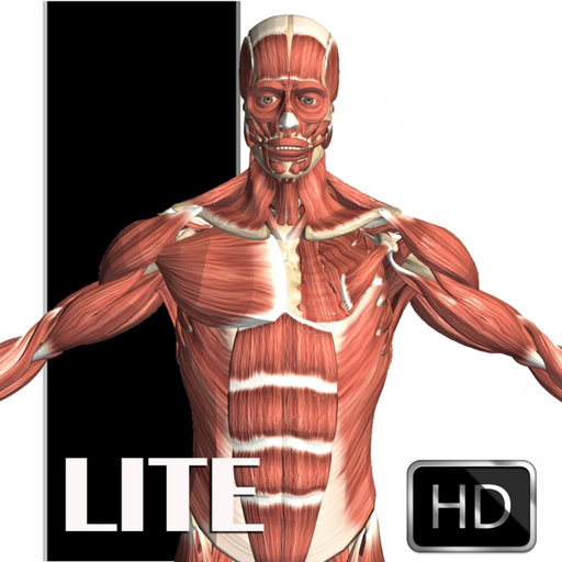 Visual Anatomy Lite app icon