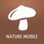 Mushrooms PRO with Photo ID icon