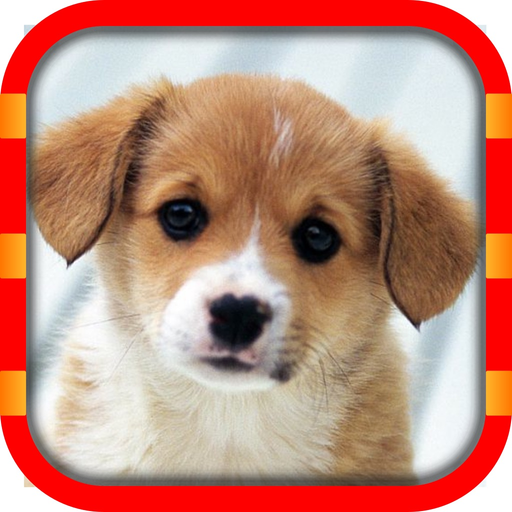 PixSlide - Puzzle app icon