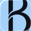Blacklane: Private Chauffeurs icon