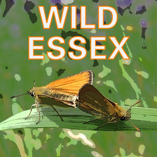 Wild Essex app icon