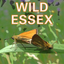 Wild Essex icon