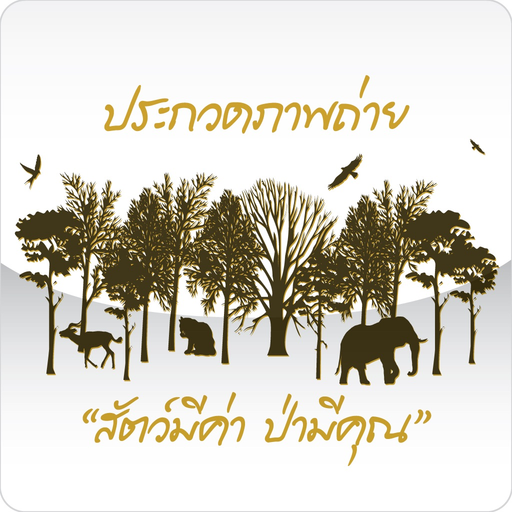 True Photo Contest app icon