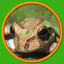 Look! Listen! Learn Language! icon