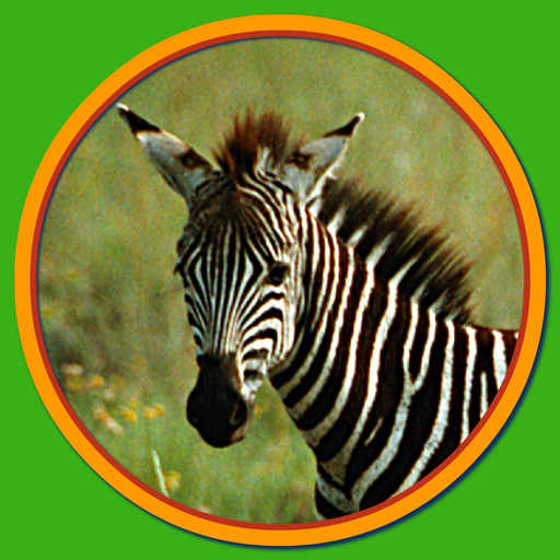 Wild, Woolly, …Critters app icon