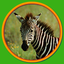 Wild, Woolly, …Critters icon