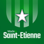 Foot Saint-Etienne icon