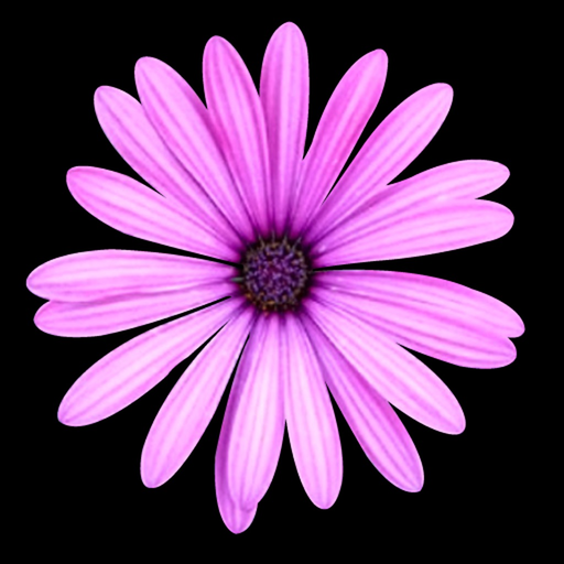 Southwest Plant Selector app icon