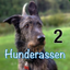 Hunderassen aus aller Welt icon