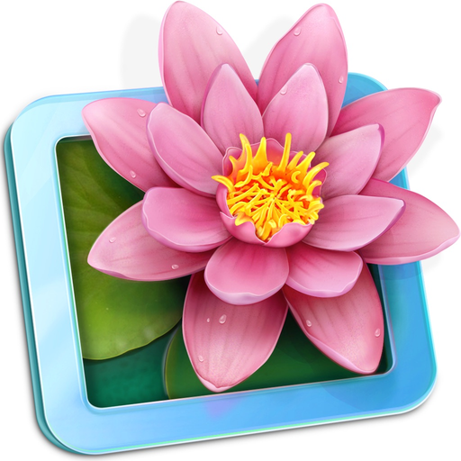 LilyView app icon