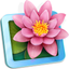LilyView icon