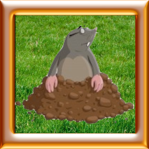 Whack A Mole - Smack Hamster app icon