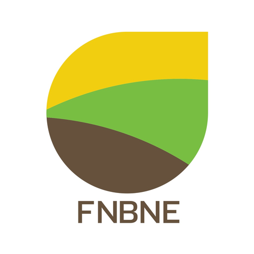FNB Northeast Mobile app icon