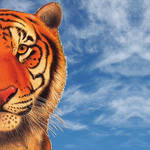 TigerView Cloud app icon