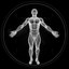 BodBot AI Workout Planner icon