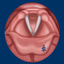 Vocal Folds ID icon