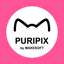 PURIPIX icon
