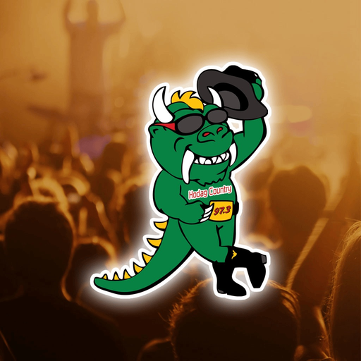 Hodag Country 97.3 WHDG app icon