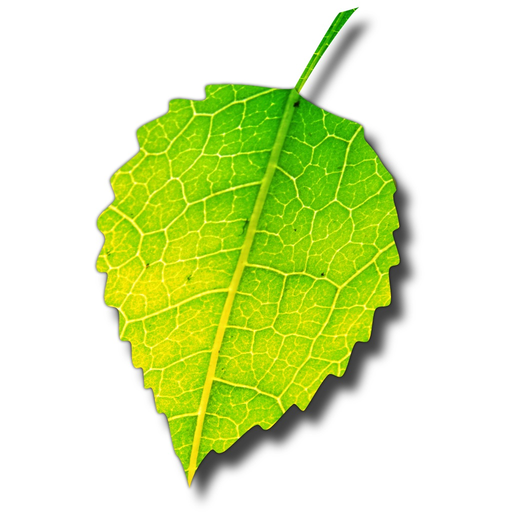 Shade app icon