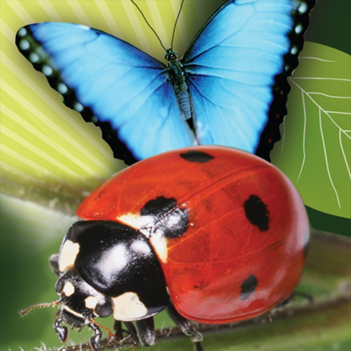 Popar Bugs app icon