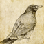 Sketch Master - Cartoon Filter icon
