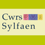 Cwrs Sylfaen icon