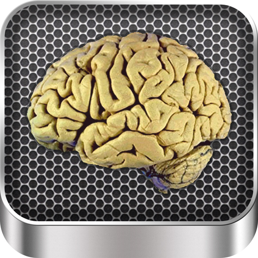 Brain Anatomy app icon