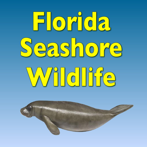 Florida Seashore Wildlife app icon