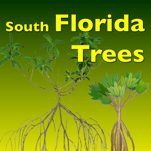 Southern Florida Trees app icon