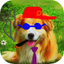 Draw On My Pics icon