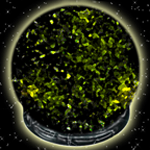 Yes or No app icon