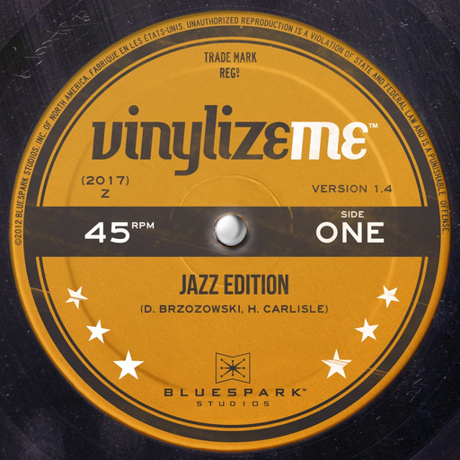 VinylizeMe app icon