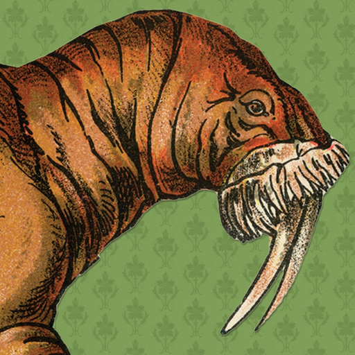 What the Walrus Knows app icon