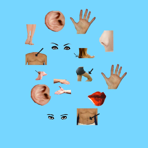 Body Parts - Basic app icon