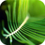 HD Photo Walls icon
