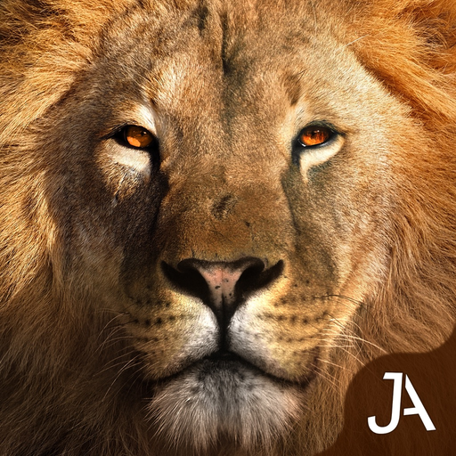 Safari: Evolution app icon