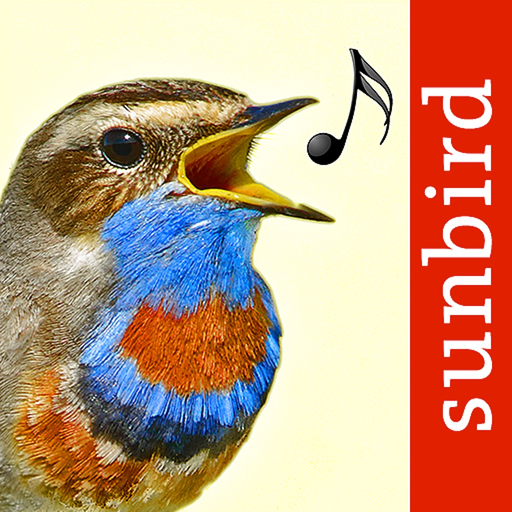 Vogelstimmen Id - Rufe,Gesänge app icon