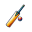 Cricket News, Scores & Videos icon