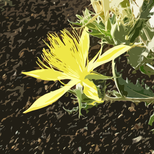 Craters of the Moon - Flowers app icon