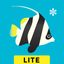 Peek-a-Zoo Underwater Ocean icon