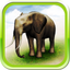 REAL ANIMALS HD icon