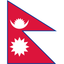 Flag Check icon
