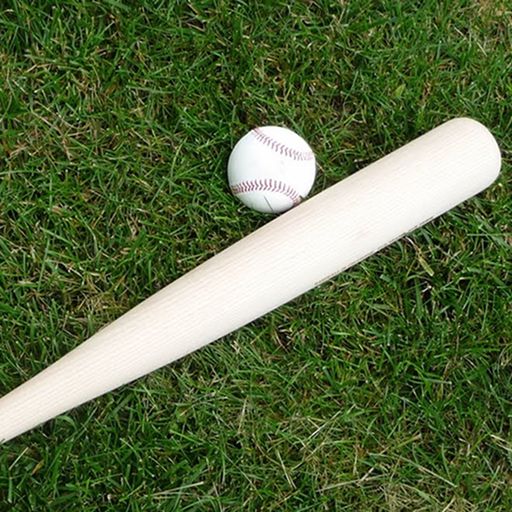 Pro Baseball Stats app icon