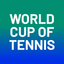 Davis Cup & BJK Cup icon